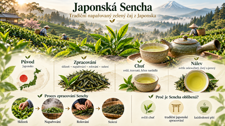 Japonský zelený čaj Sencha: historie, výroba a příprava