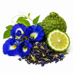 Klitorie ternatská a bergamot v čaji Blue Sapphire