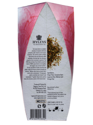 Čaj Hyleys Infusions Immunity Boost - pyramidové sáčky 20 x 2g 