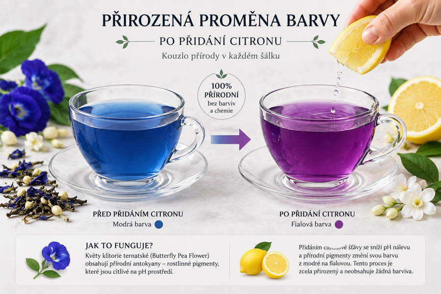 Proměna barvy po přidání citronu (modrá → fialová).
